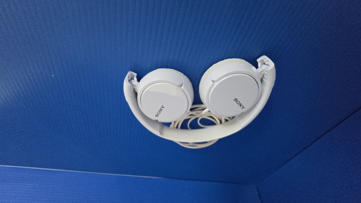 Sony Headphones