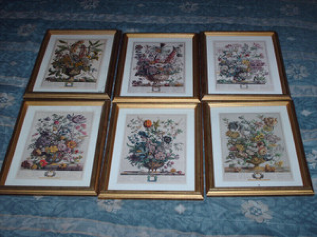 Floral Prints