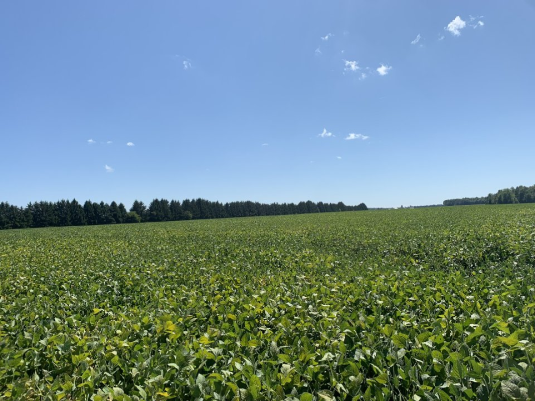 For Sale: 68 Acre Farm (Land Only) Florence, ON