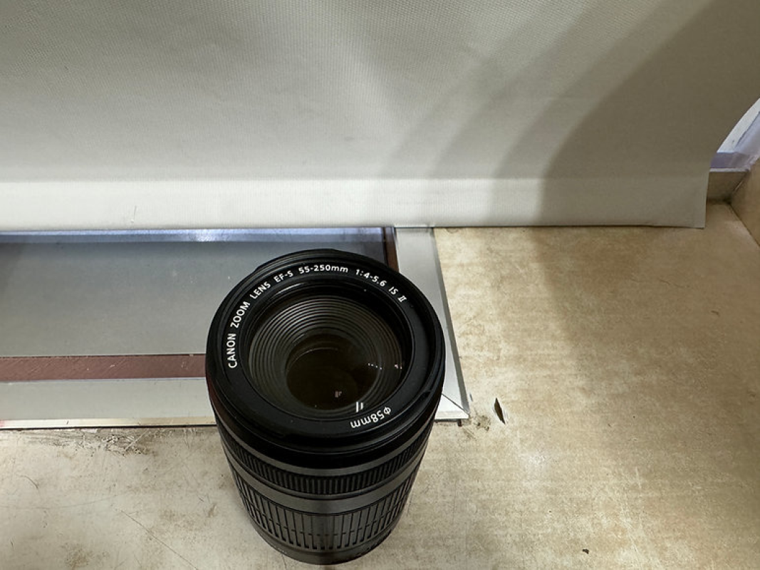 Canon EF-S 55-250mm f/4-5.6 IS II Telephoto Zoom Image Stabilized Lens