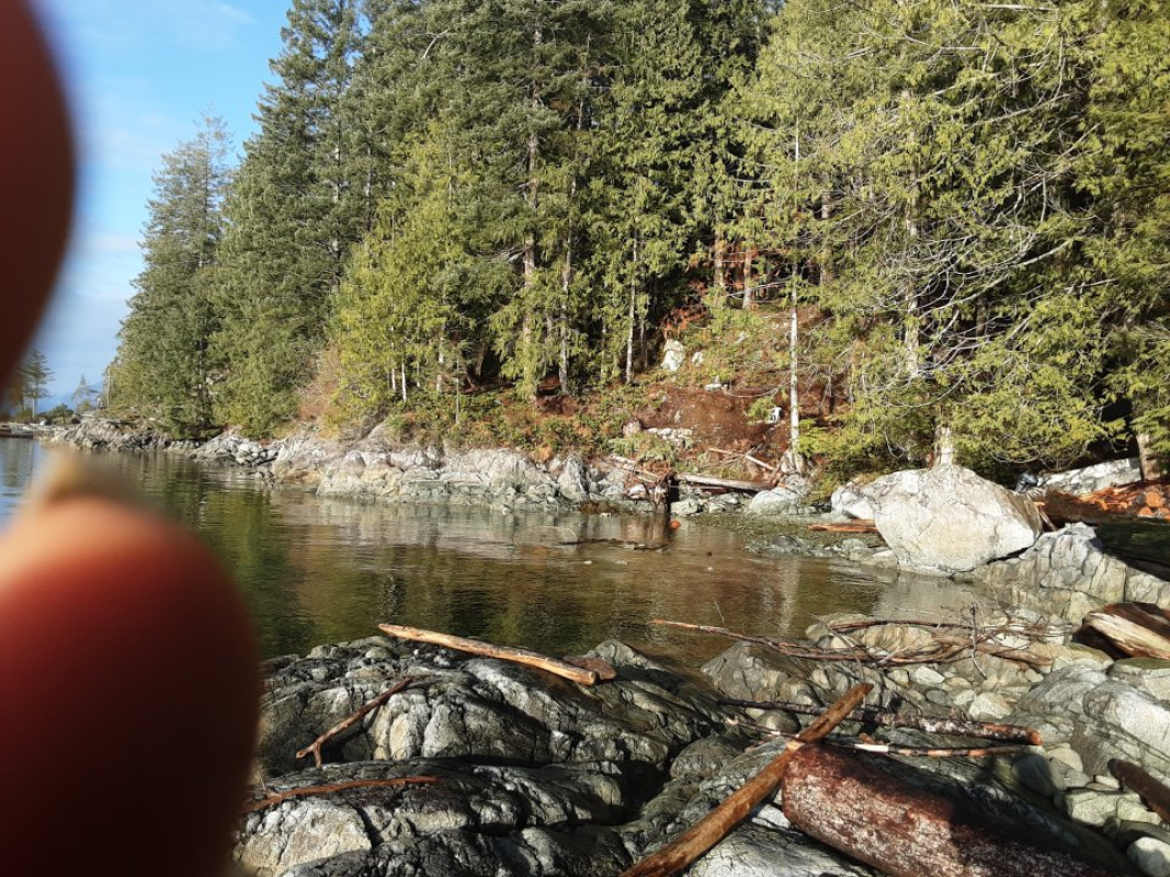 Ocean Water Front Property  10 acres 0n Rendezvous Island. B.C..
