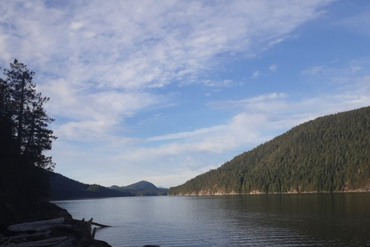 Ocean Water Front Property  10 acres 0n Rendezvous Island. B.C..