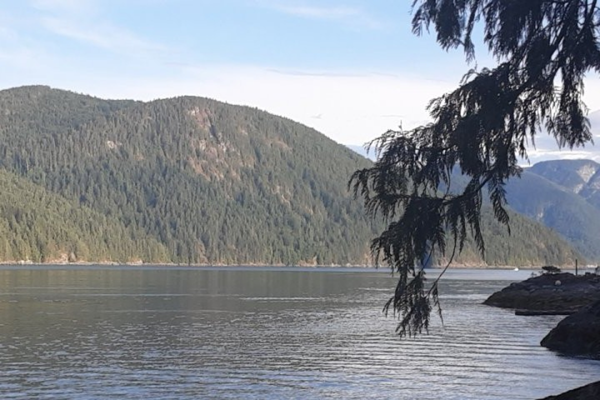 Ocean Water Front Property  10 acres 0n Rendezvous Island. B.C..