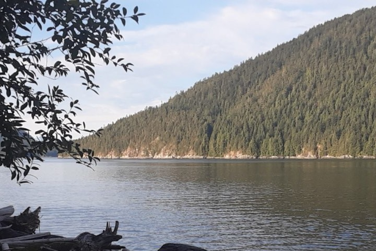 Ocean Water Front Property  10 acres 0n Rendezvous Island. B.C..