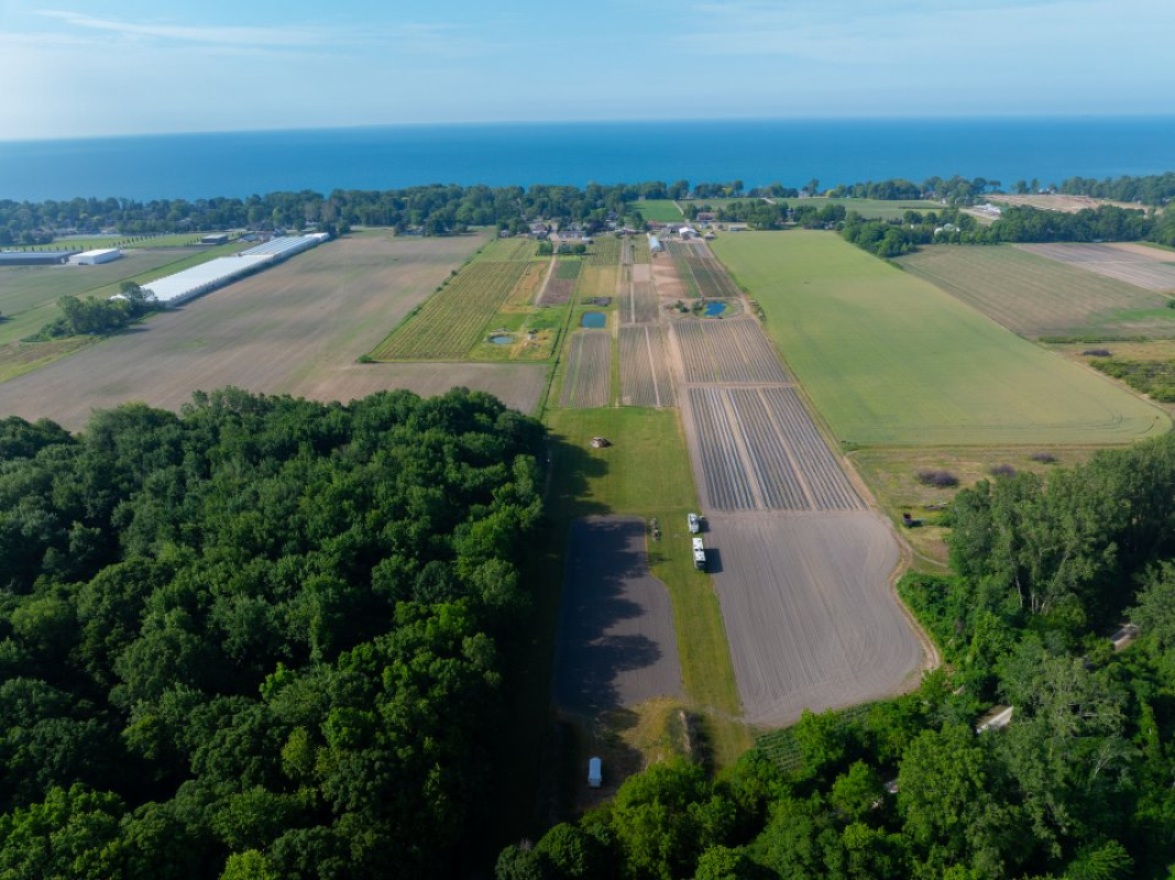13.3 ACRE FARM FOR SALE 710 Seacliff Drive, Kingsville, Ontario