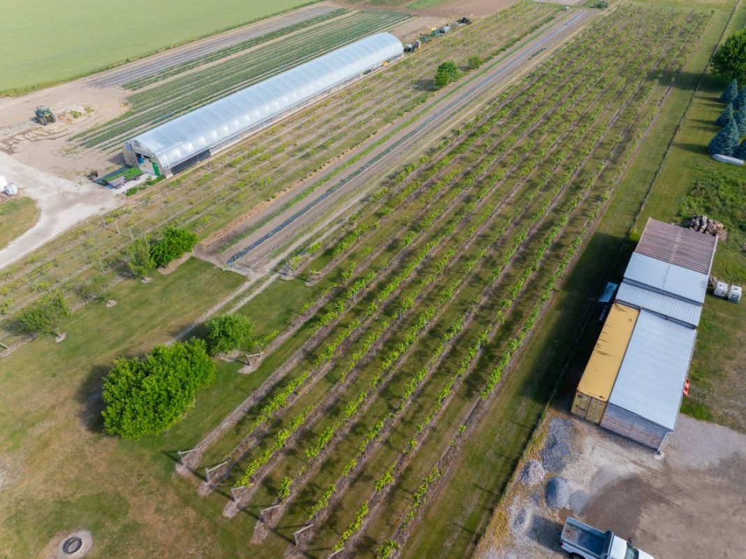 13.3 ACRE FARM FOR SALE 710 Seacliff Drive, Kingsville, Ontario